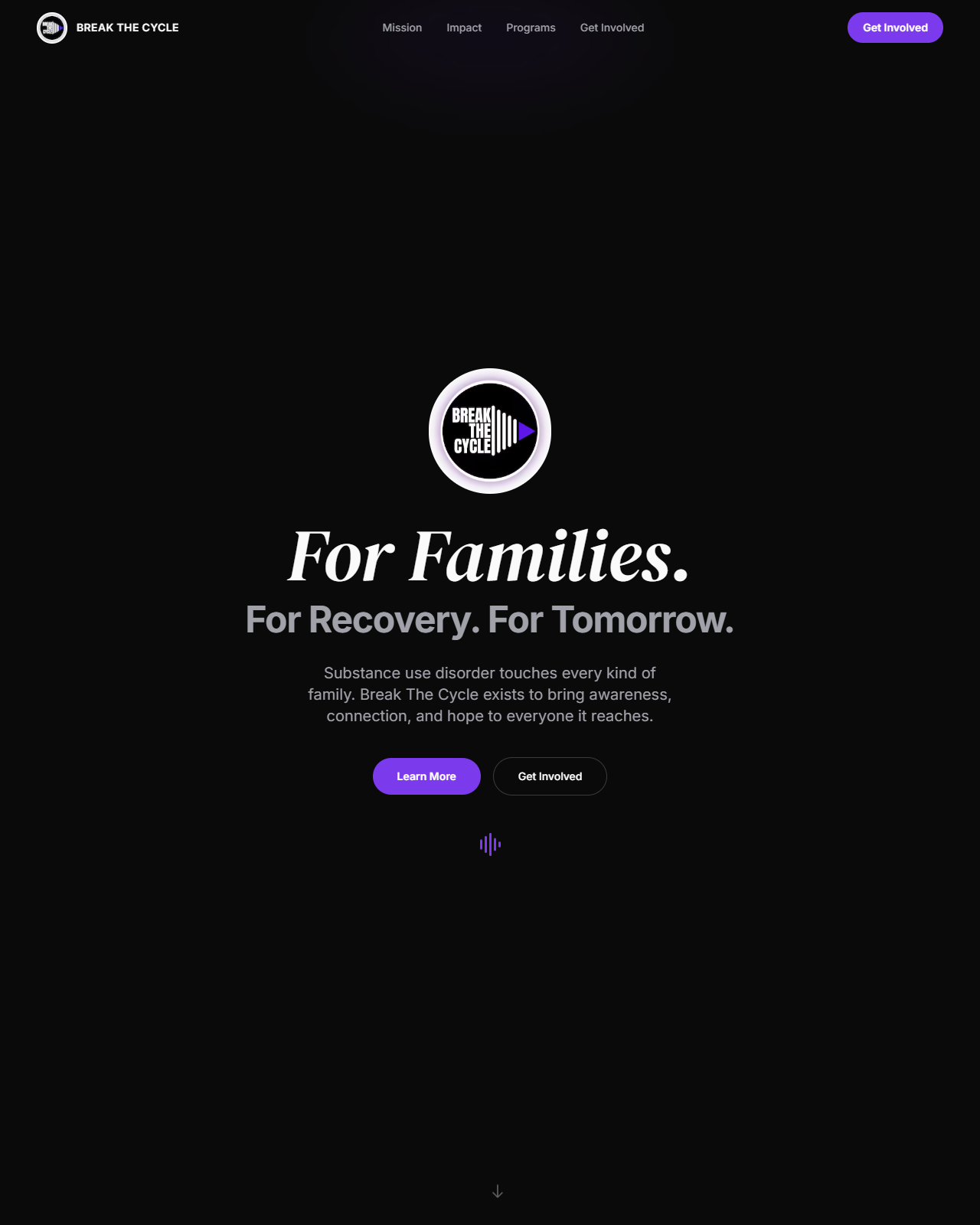 Break The Cycle website screenshot
